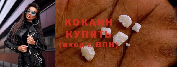 шишки Абаза