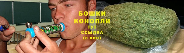 шишки Абаза