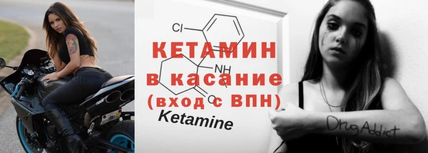 шишки Абаза