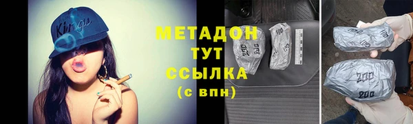 шишки Абаза