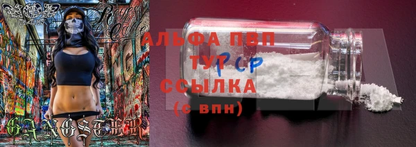 тгк Абинск