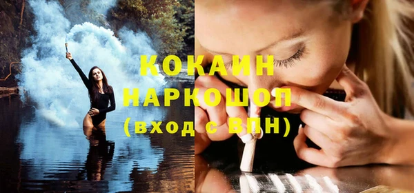 шишки Абаза