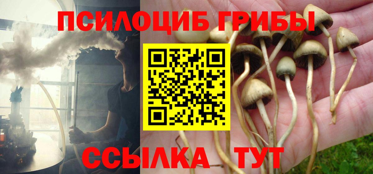 Галлюциногенные грибы мицелий Азнакаево