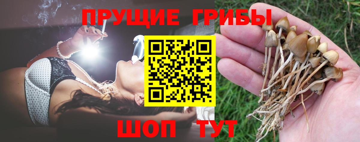 Псилоцибиновые грибы Cubensis  Вход с VPN  Азнакаево 