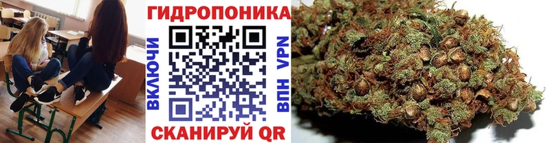 Бошки марихуана семена  Азнакаево 